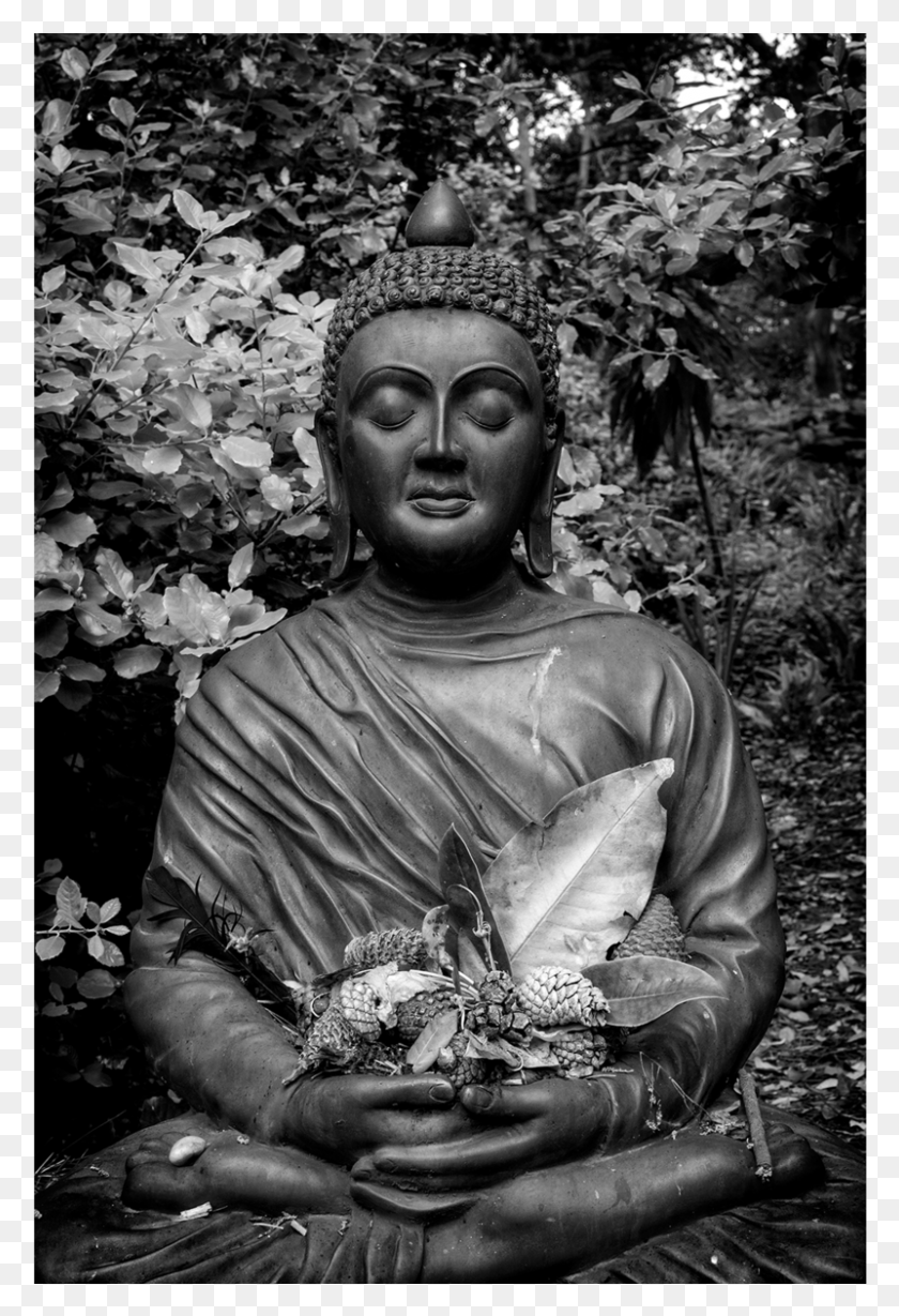 801x1201 Gautama Buddha, Persona, Humano Hd Png