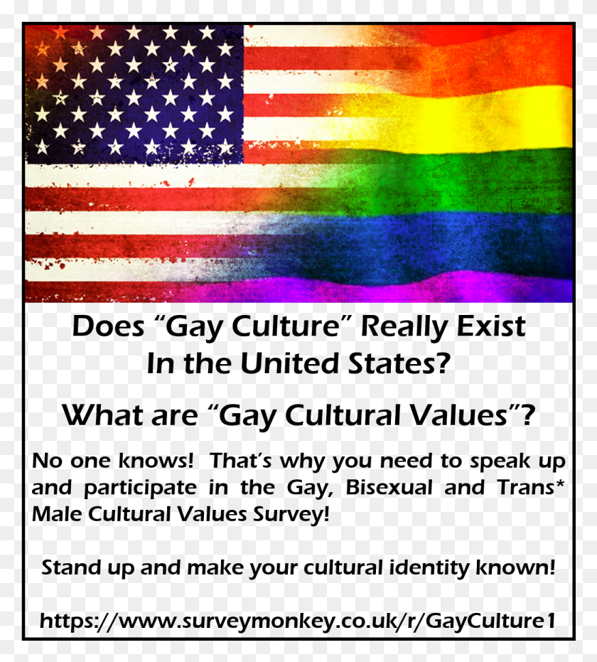 1038x1160 Гей-Бисексуалы-Трансгендеры В Соединенных Штатах Америки Обрамляют Американский Флаг, Флаг, Символ Hd Png Скачать
