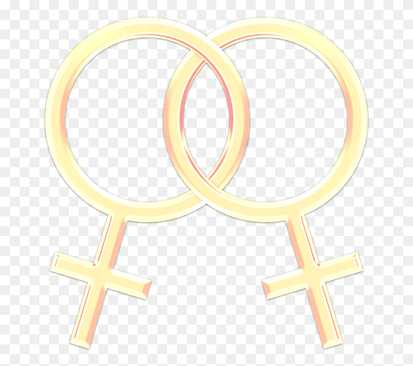 667x684 Gay Lesbian Symbol Homosexual Couple Love Lgbt Bride Groom Wedding Logo, Trademark, Pattern, Text HD PNG Download
