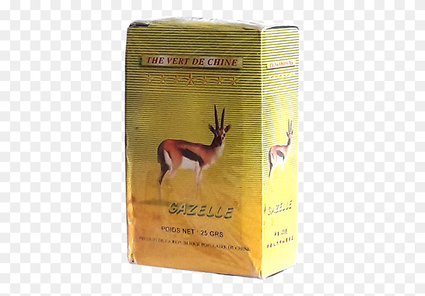 349x525 Gazelle With Writing Bongo, Antelope, Wildlife, Mammal HD PNG Download