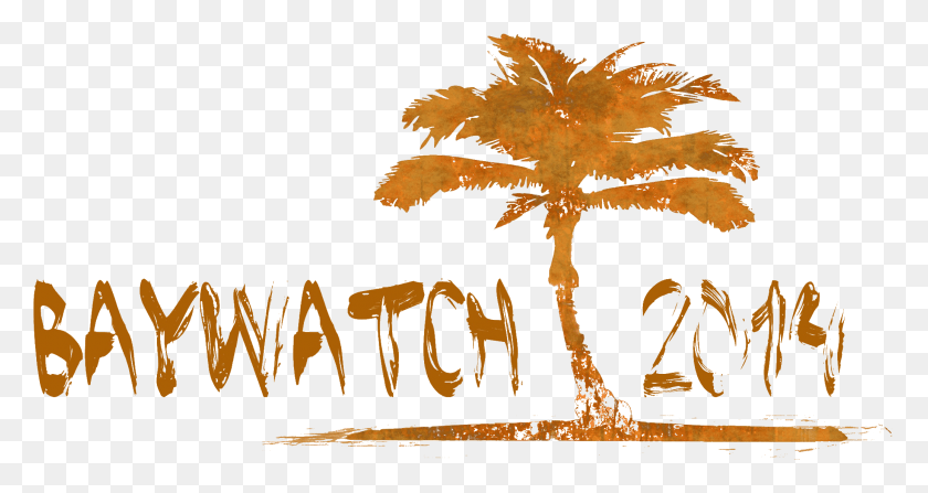 2069x1027 Gdask Baywatch Weekend, Tree, Plant, Leaf HD PNG Download