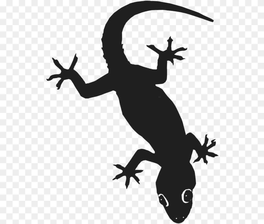 552x714 Gecko, Animal, Lizard, Reptile, Baby Clipart PNG