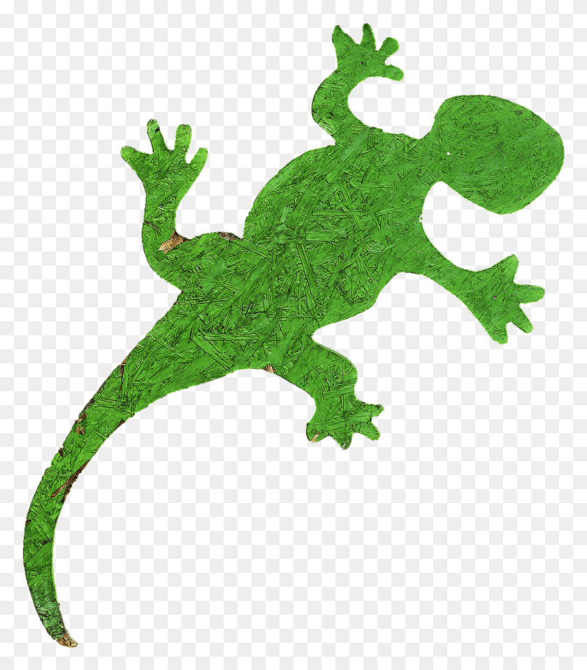 1047x1208 Gecko Holzfigur Figure International Year Of Forests 2011, Lizard, Reptile, Animal HD PNG Download
