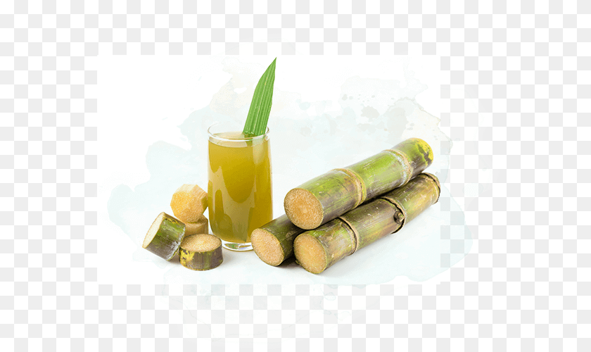 590x500 Geevani Sources The Best Tasting Highest Quality Sugar Sugar Cane Wine, Cup, Beverage, Juice, Dynamite Transparent PNG