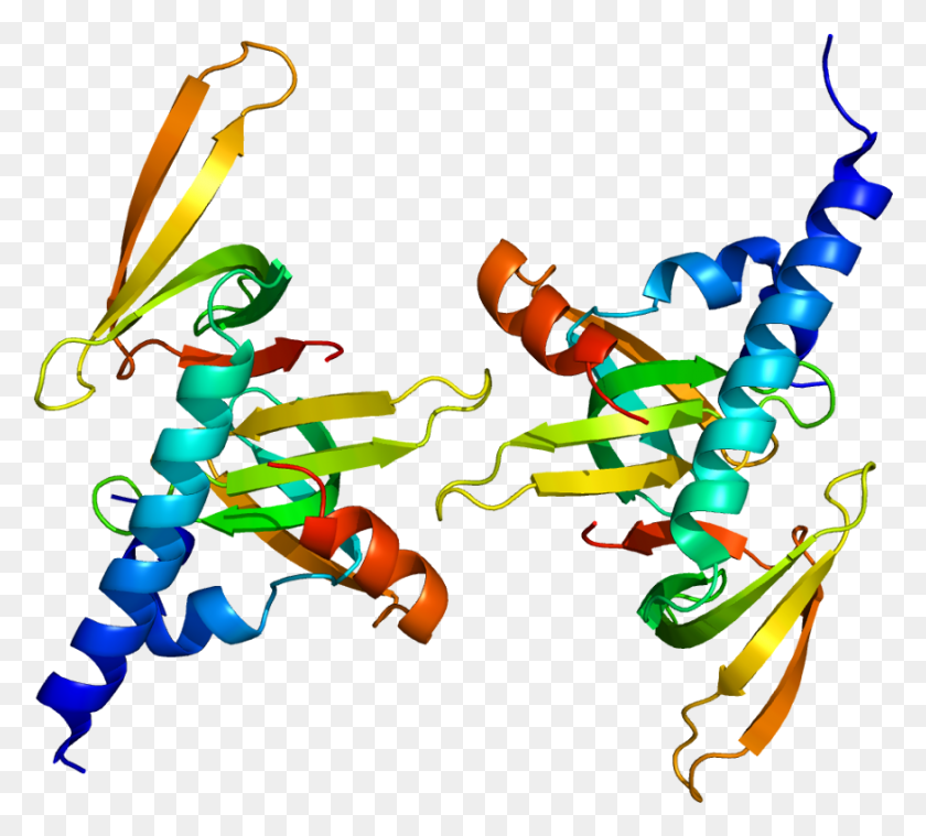 874x784 Gem Associated Protein Smn Protein Structure, Graphics, Light Descargar Hd Png