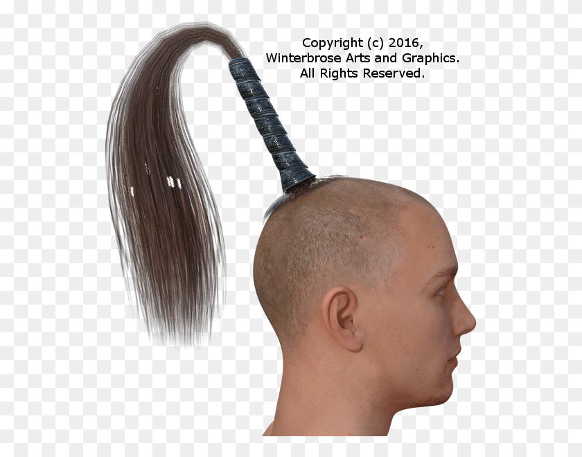 537x600 Genesis 3 Male Horse Tail Hairstyle, Head, Person, Human HD PNG Download