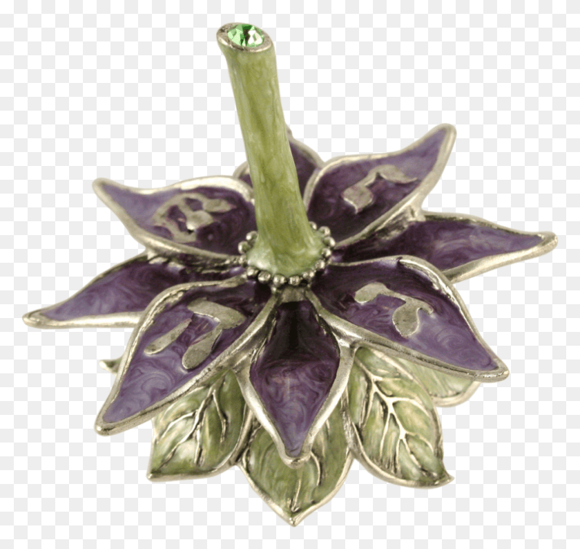 790x744 Gentian Family, Jewelry, Accessories, Accessory HD PNG Download
