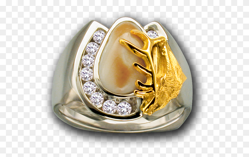553x472 Gents Outfitter, Gold, Ring, Jewelry HD PNG Download