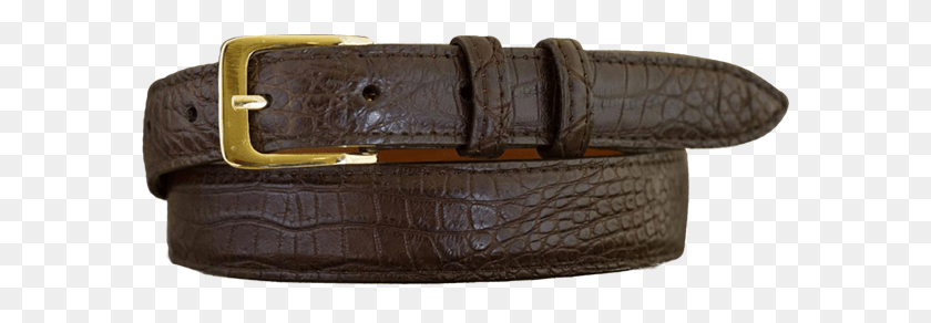 585x232 Genuine American Alligator Matte Brown Belt, Accessories, Accessory, Strap HD PNG Download