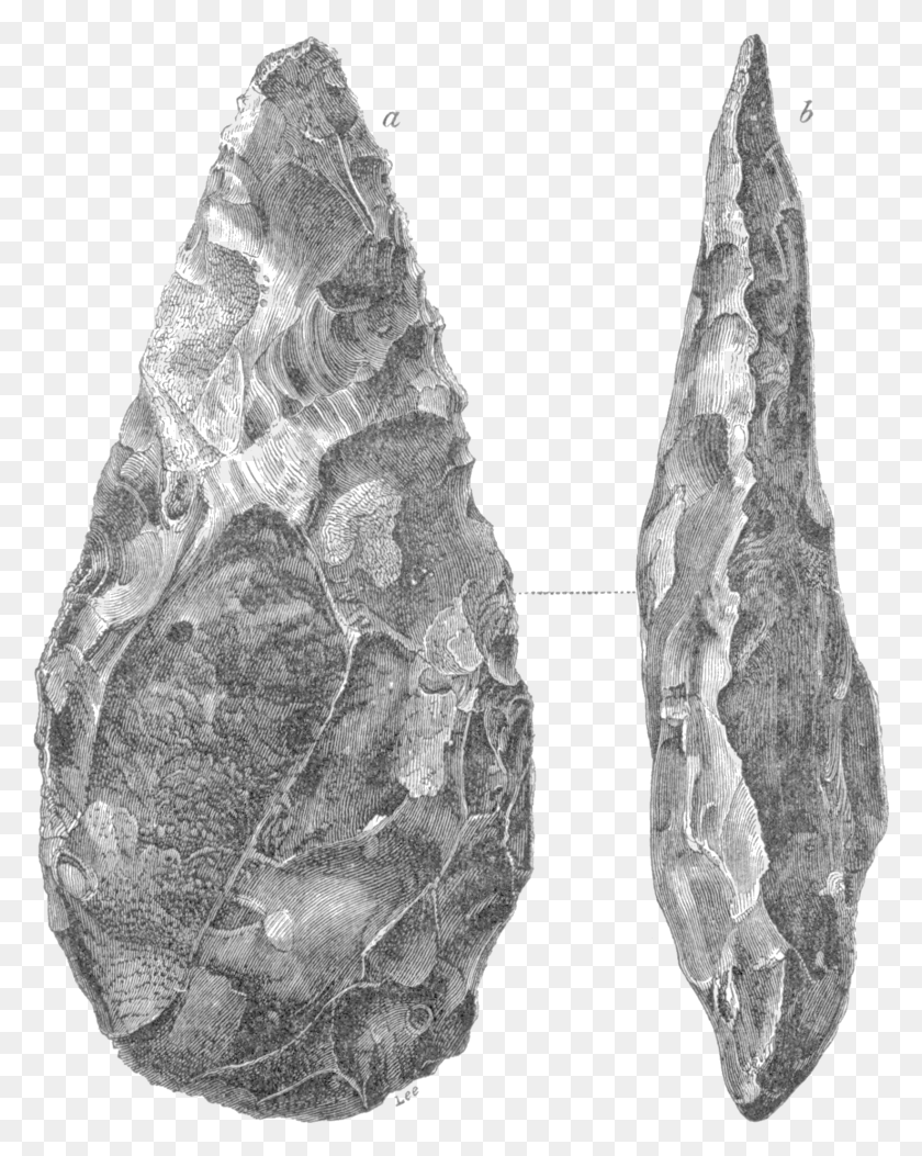 1475x1879 Las Pruebas Geológicas De La Antigüedad Del Hombre Higo Bivalvo, Punta De Flecha, Pez, Animal Hd Png
