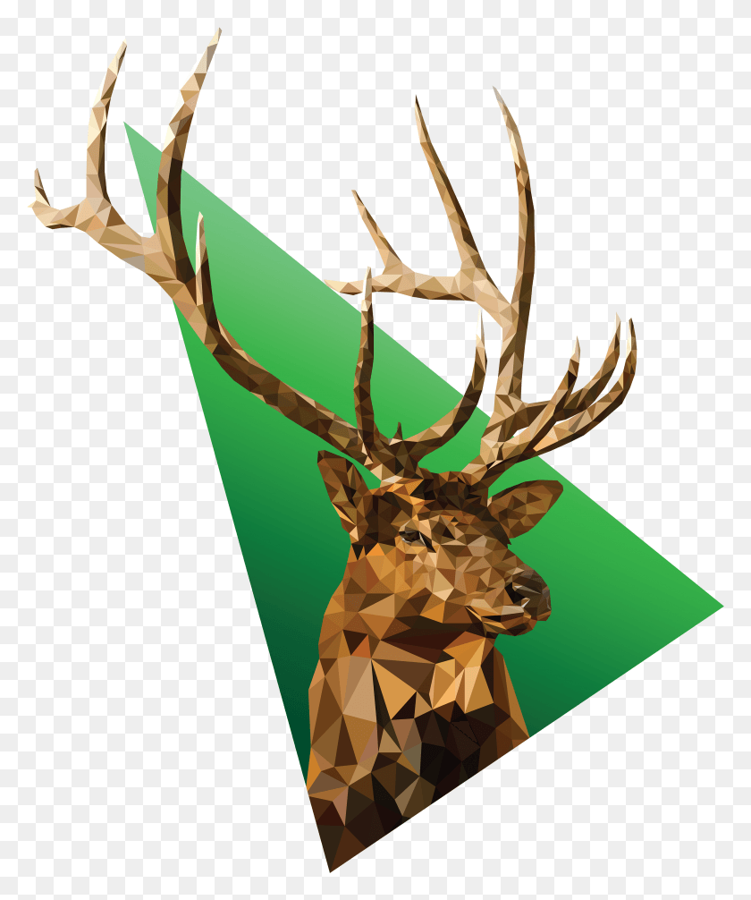 2750x3337 Geometric Low Poly Animal Designs For Print And Apparel Elk, Antler, Deer, Wildlife HD PNG Download