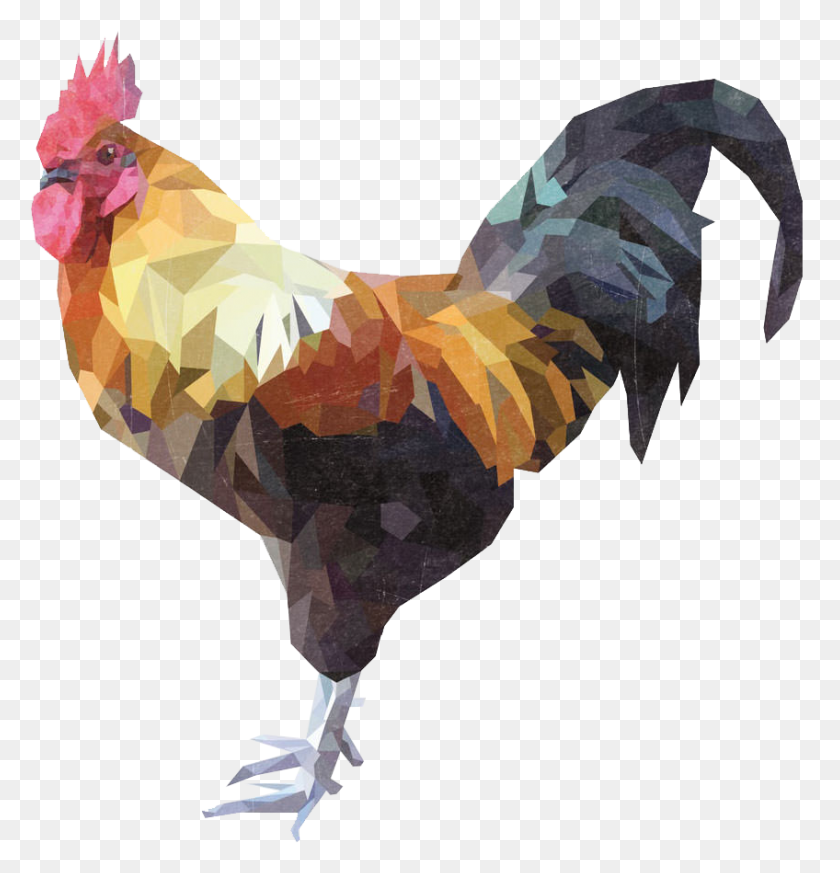 848x884 Geometric Shapes Design Inspiration, Animal, Poultry, Fowl HD PNG Download