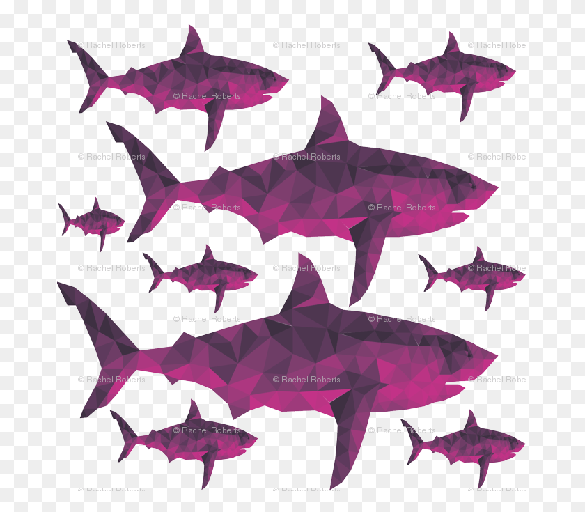 675x675 Geometric Sharks Orchid Swordfish, Poster, Advertisement, Animal HD PNG Download