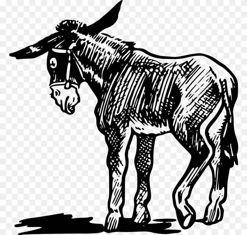 Gerald G Donkey, Gray Sticker PNG