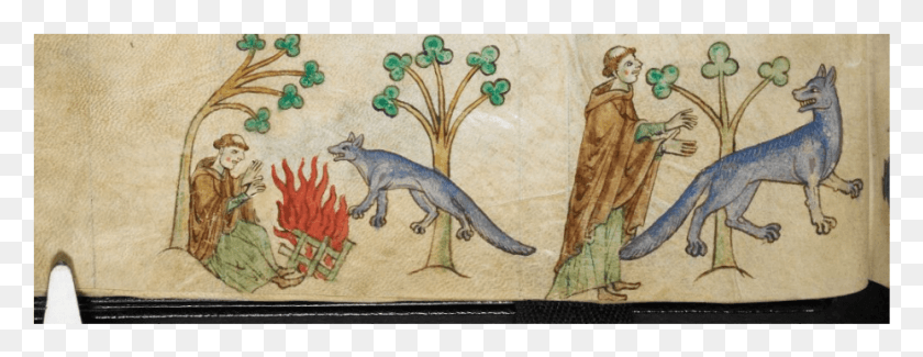 927x315 Gerald Of Wales Topographia Hibernica Image From British Medieval Monsters Damien Kempf, Lizard, Reptile, Animal HD PNG Download