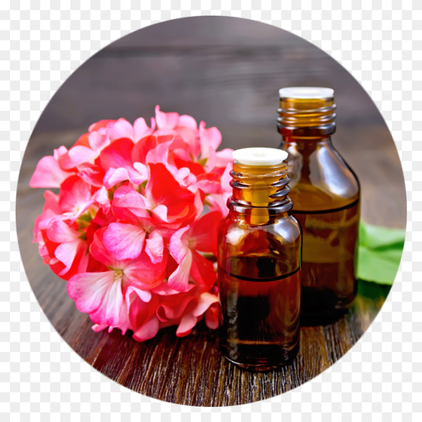 Geranium Ingredients, Plant, Flower, Blossom HD PNG Download