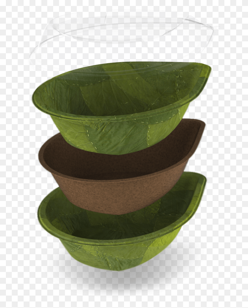 659x982 German Company Making Plates Out Of Leaves That Biodegrade Biodegradable Leaf Plates, Bowl, Mixing Bowl, Soup Bowl HD PNG Download