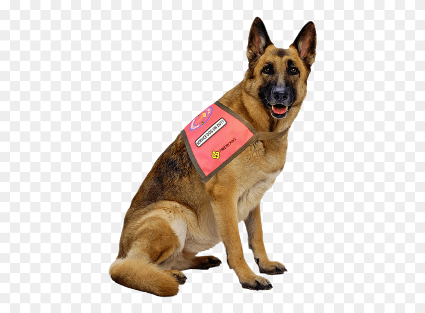 415x559 German Shepherd Dog, Pet, Canine, Animal HD PNG Download