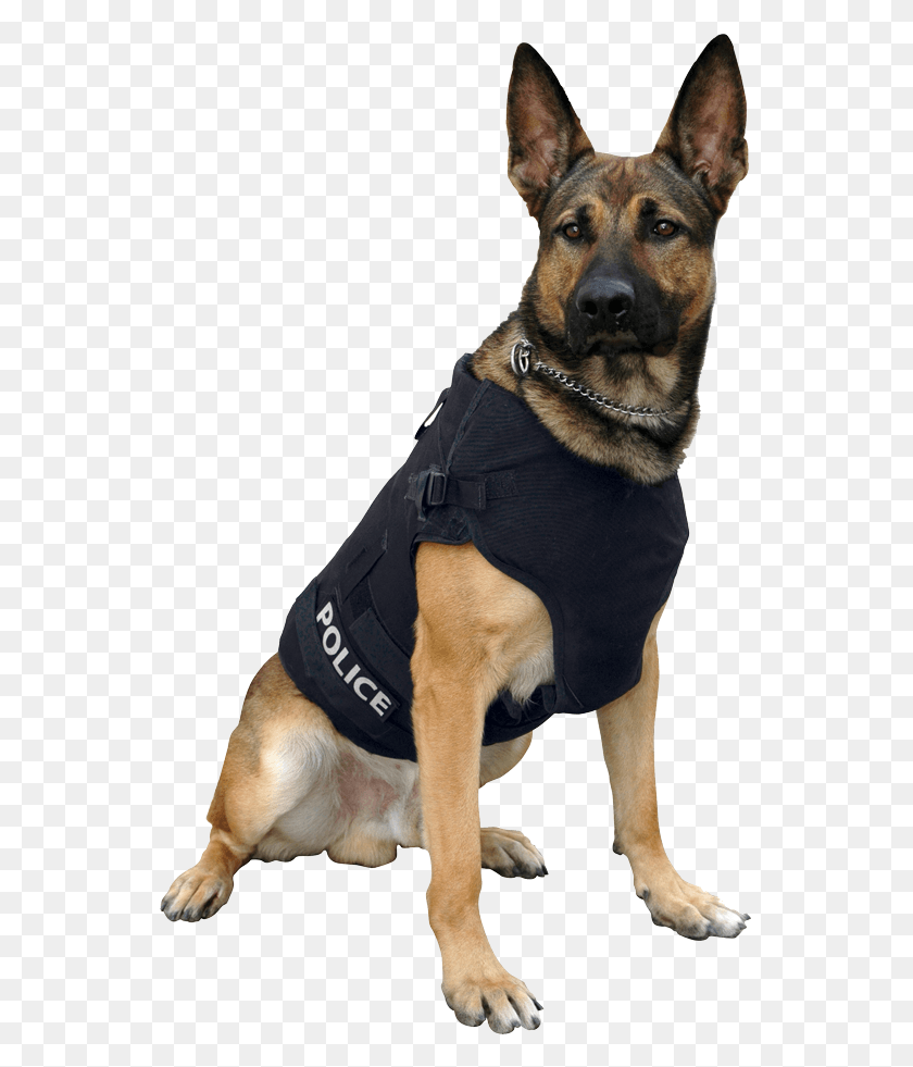 546x921 German Shepherd Police Dog Police German Shepherd, Police Dog, Pet, Canine HD PNG Download
