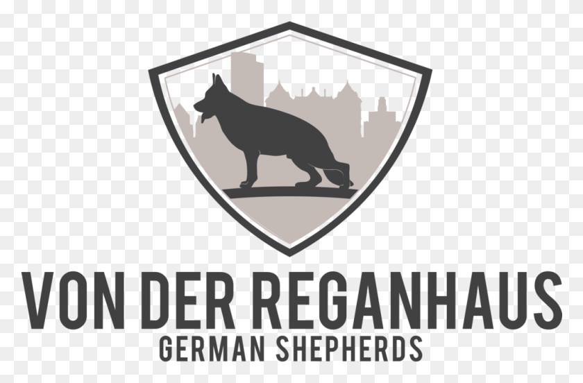 1001x632 German Shepherd Puppy, Mammal, Animal, Label HD PNG Download