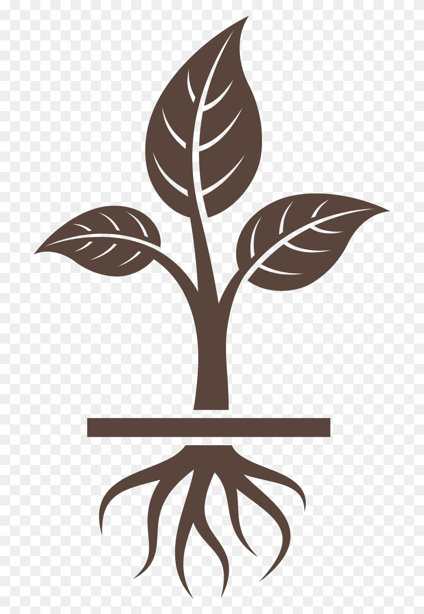707x1155 Get To The Root Poison Ivy Plant Icon, Leaf, Tobacco HD PNG Download