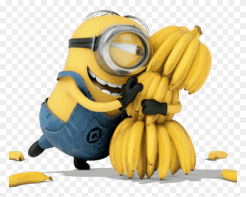 1025x806 Getting High The Minions Minions Bananas, Plant, Banana, Fruit HD PNG Download