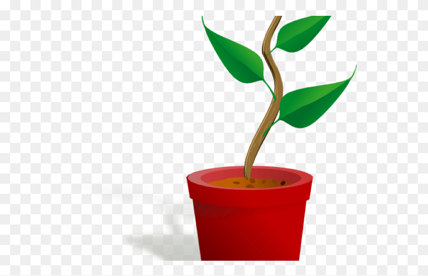 560x481 Getting To Know Plants, Plant, Sprout, Leaf HD PNG Download
