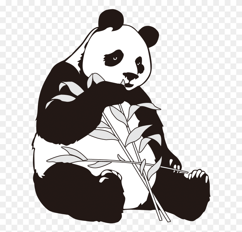 623x745 Giant Bamboo Art Transprent Free Panda Bamboo, Stencil, Animal, Mammal HD PNG Download