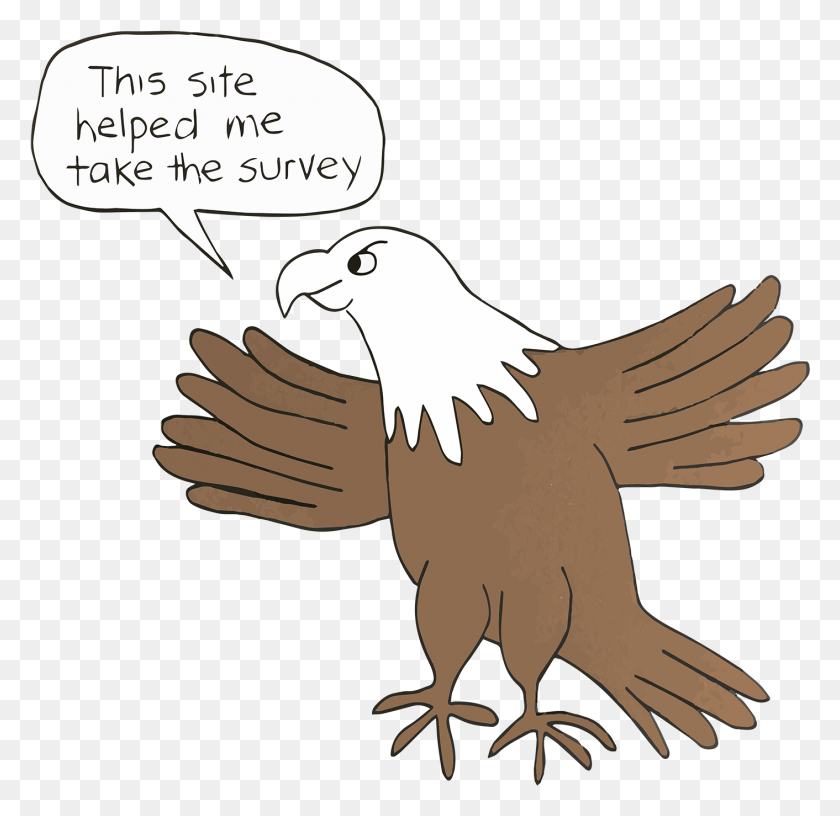 1412x1370 Giant Eagle Survey Bald Eagle, Bird, Animal, Kite Bird HD PNG Download