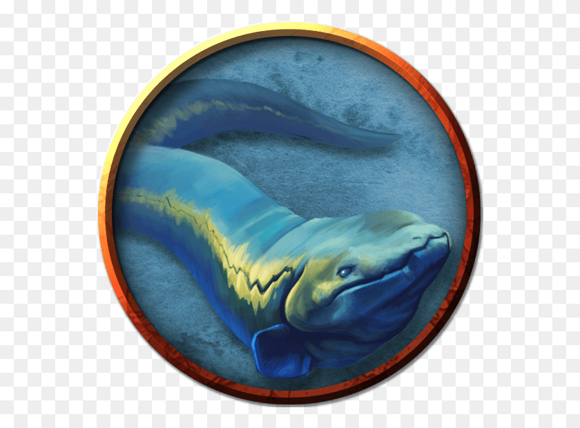 560x560 Гигантский Молниеносный Угорь Тигровая Акула, Животное, Морская Жизнь, Млекопитающее Png Скачать