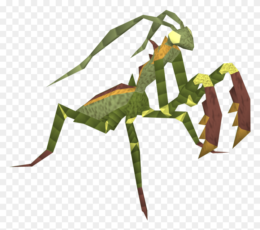 912x802 Mantis Religiosa Gigante, Animal, Insecto, Invertebrado Hd Png