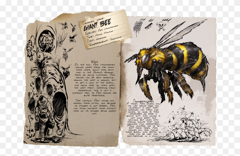 679x486 Гигантская Пчелиная Матка Гигантская Пчела Ковчег Рагнарок, Медоносная Пчела, Насекомое, Беспозвоночное Hd Png Скачать