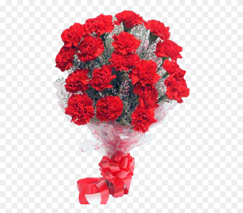 478x675 Regalo, Planta, Flor, Flor Hd Png