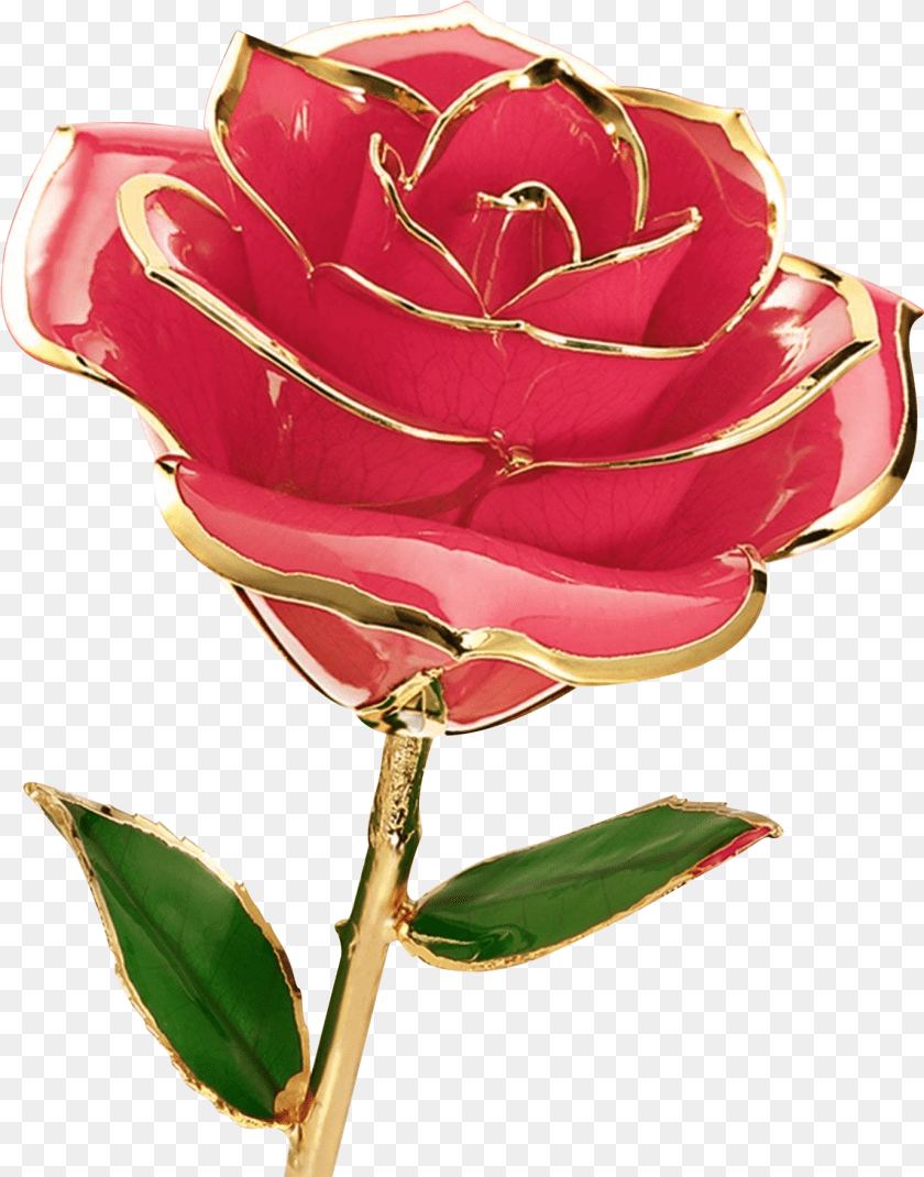 1378x1755 Gift, Flower, Leaf, Plant, Rose Clipart PNG