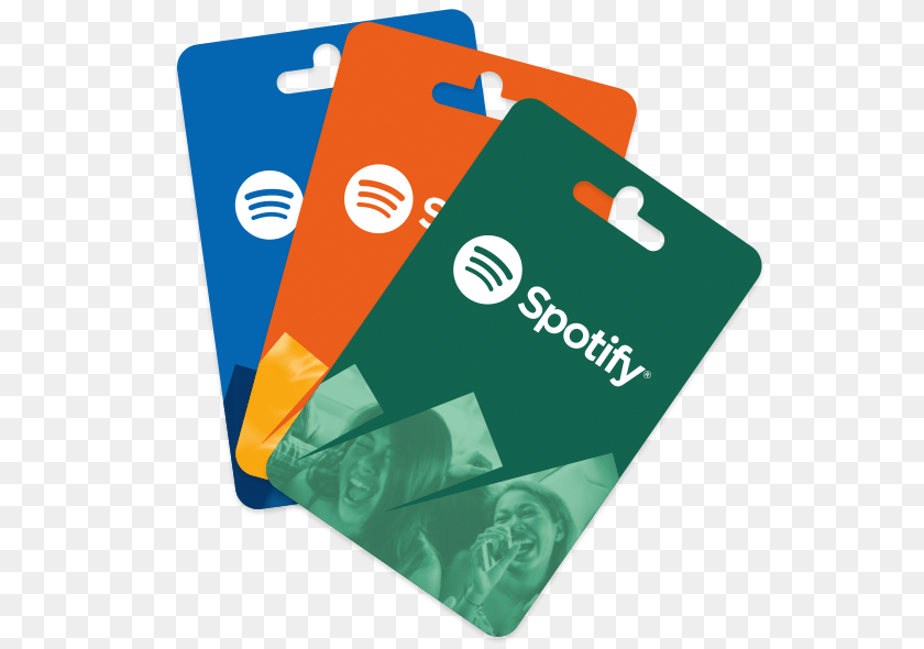 Gift Cards, Bag, Adult, Person, Woman PNG