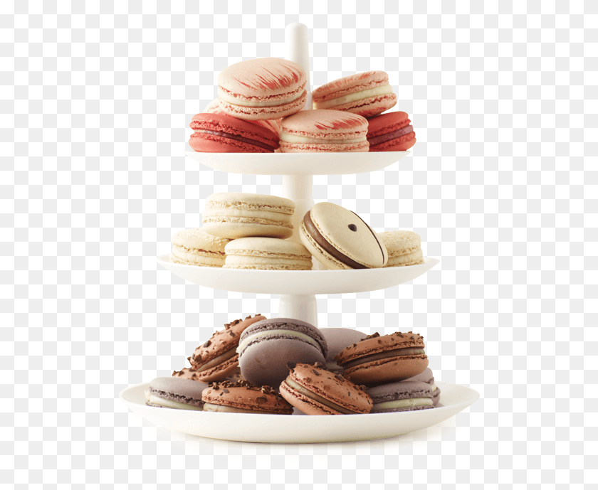 510x629 Gifts Amp Parties 39lette Macarons, Bakery, Shop, Cream HD PNG Download