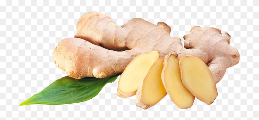 727x328 Ginger, Plant, Fungus HD PNG Download