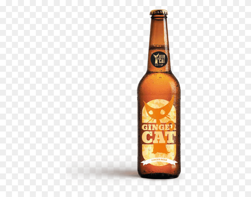397x599 Ginger Cat Beer Beercat Disculpi Studio Beer Bottle, Alcohol, Beverage, Drink HD PNG Download