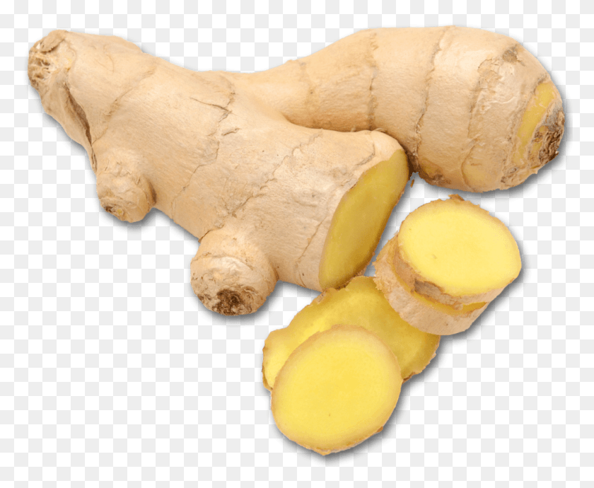1077x870 Ginger Greater Galangal, Plant, Fungus HD PNG Download