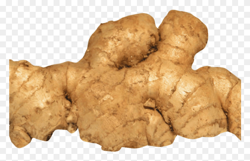 801x498 Ginger Image1 Ginger, Plant, Fungus HD PNG Download