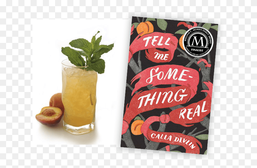 629x488 Ginger Peach Soda Tell Me Something Real, Potted Plant, Plant, Vase HD PNG Download
