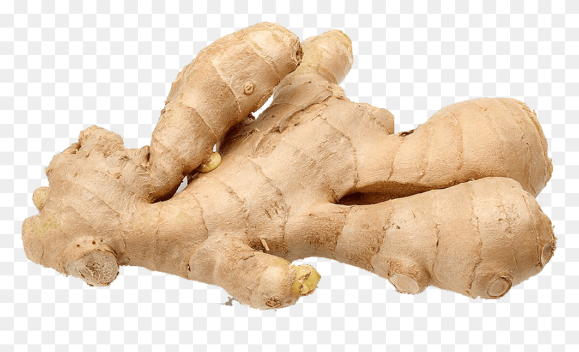 869x503 Ginger Size, Plant HD PNG Download