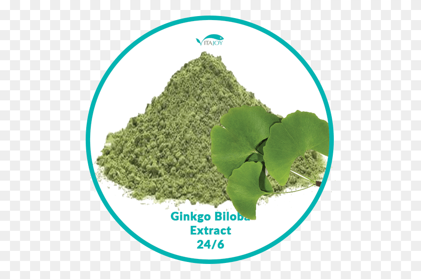 500x496 Ginkgo Biloba Extract 246 Moss, Powder, Plant, Soil HD PNG Download