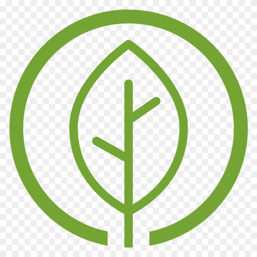 869x870 Ginkgo Tree Circle, Symbol, Logo, Trademark HD PNG Download