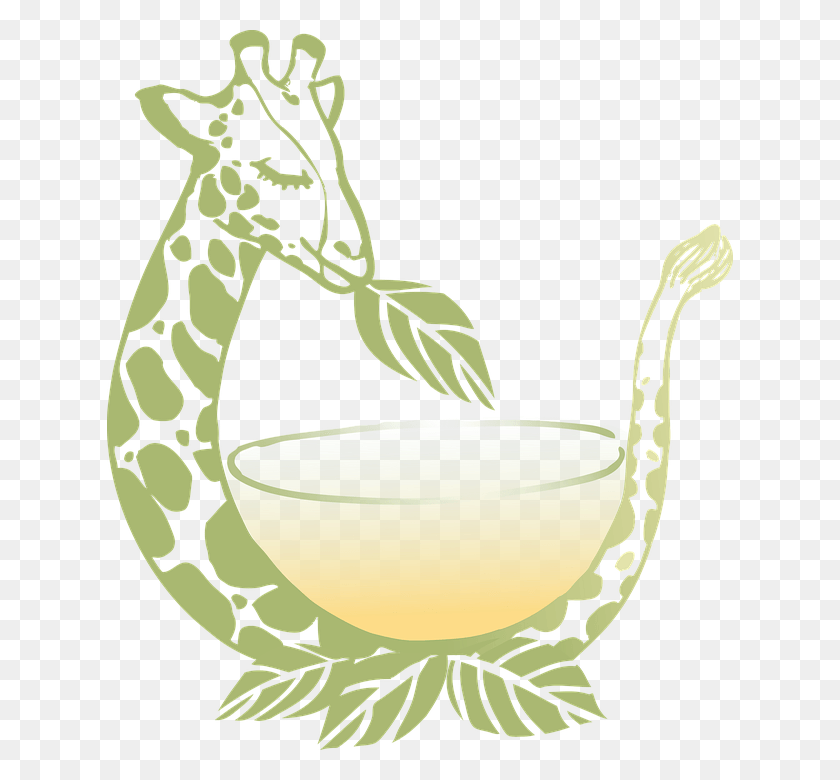 626x720 Giraffe Animal Tea Nature Illustration, Plant, Beverage, Drink HD PNG Download