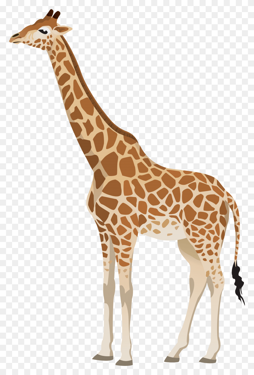 5203x7875 Giraffe Clipart Image Giraffe And Tree Painting, Wildlife, Mammal, Animal HD PNG Download
