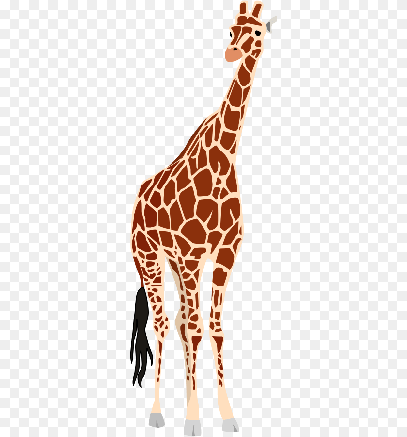 Giraffe Vector Clip Art Giraffe Vector, Animal, Mammal, Wildlife Clipart PNG