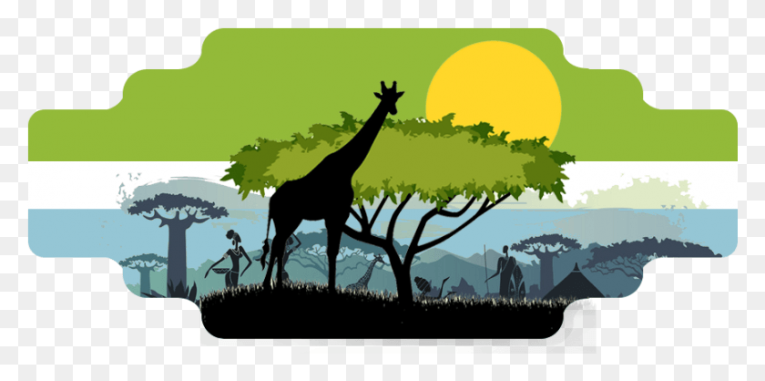 864x397 Иллюстрация Силуэта Жирафа, Дикая Природа, Животное, Млекопитающее Hd Png Скачать