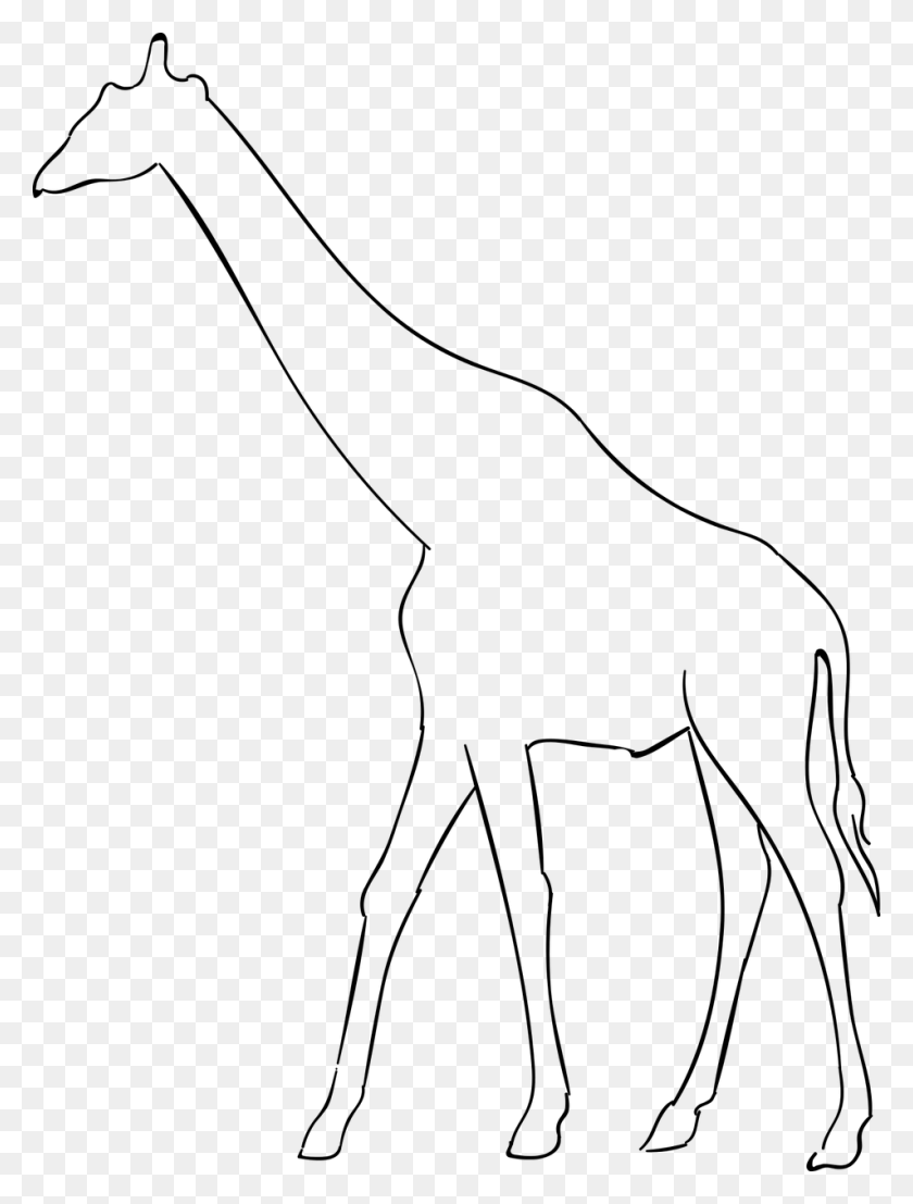 953x1280 Giraffeanimalthe Of A Giraffe Giraffe, Gray, World Of Warcraft HD PNG Download