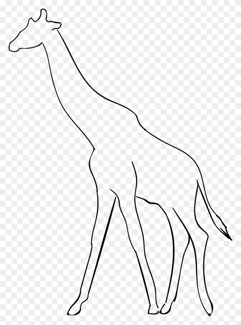 930x1280 Жираф Животное Жирафа Силуэта Джирафа Para Colorear, Серый, Мир Варкрафта Png Скачать